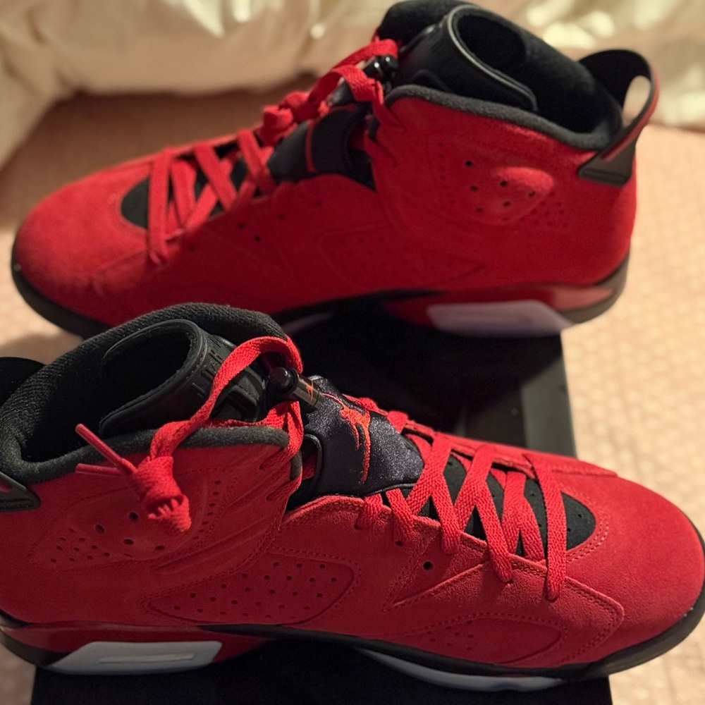 Bravo Toro Jordan 6s in size 12 men’s